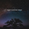 End Restless Sleep、Deep Sleep Maestro、Good Night Unit《nightly night》[MP3/LRC]