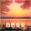 大自然《自然音景》[MP3/LRC]