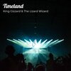 King Gizzard & The Lizard Wizard - Timeland