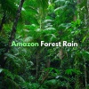 Rain Sounds、Rain Atmospheres、Loopable Atmospheres、The Sound of the Rain - Amazon Forest Rain