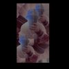 Cherry Rain - Lemon Sorbet (Explicit)