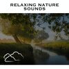 Loopable Radiance - Gentle Stream - Loopable