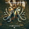 Blasterjaxx、Raven & Kreyn - Rabbit Hole