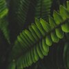 Música De Relajación Para Dormir Profundamente、Organic Nature Sounds、Mother Nature Sound FX - Time for Sleep