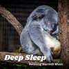 Relaxing Radiance、Relaxing Sleep Music、Relaxing Noises - Soothing Warmness