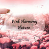 The Calm Music Crew、Music For Cats and Dogs、Baby Sleep Lullaby Academy - Sleepy Beach Sound