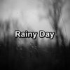 Nature Recordings、Nature Spirit、Sounds of Nature White Noise Sound Effects - White Noise Rain and Nature Sounds Pure Sounds to Help Insomnia