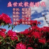 张伟东 - 盛世欢歌新时代    演唱:庄上荣