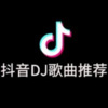 MH时光音悦榜 - 如果让我遇见你 (DJ版)