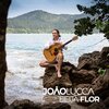 Joao Lucca - Beija-Flor