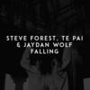 DJ Steve Forest、Te Pai、Jaydan Wolf - Falling