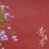 鱼板音乐 - 芳