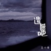 王小奇 - 遗憾吧
