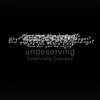 Essentially Zsanece - Undeserving