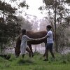 Rodas - Algo de Tiempo