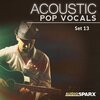 Mohawk Radio - Ready to Love (Acoustic Version)