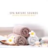 Pure Massage for Life Universe - Wellness Massage