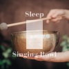 睡眠导入贵族音乐 - 白噪音 ASMR颂钵疗愈: 伴随