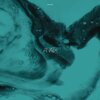 Flaws - Mind-Body