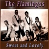 the flamingos《You, Me and the Sea》[MP3/LRC]