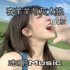 二珊、王志鹏Music、王沐轩 - 喜羊羊与灰太狼 (DJ版)