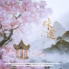 袁乘风 - 殊途
