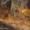 Perry Frank - Sandstones