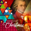 Chamber Orchestra of the Saint Petersburg Conservatory - Ave Verum Corpus, K. 618