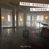 Trond Svendsen & Tuxedo、Trond Svendsen - Big Red Sky