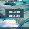 Treedogg Mr. ATM - Aquafina Workout (Explicit)