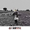 新疆木爷 - 8秒让你知道什么是硬 (DJ版)