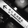 山河老赵 - 安河桥