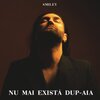 Smiley - Nu mai exista dup-aia