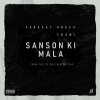 Farasat Anees、Toshi - Sanson Ki Mala (Radio Edit)