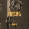 Aman - Trying