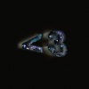 Nightly - so sly (alternate version)