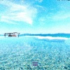 Woo Dinero、Shay Boy - Ocean (feat. Shay Boy)(Explicit)