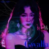 Nighty Night、汤汤圆、亿媛儿、KIKI星禾纪 - Gwalla