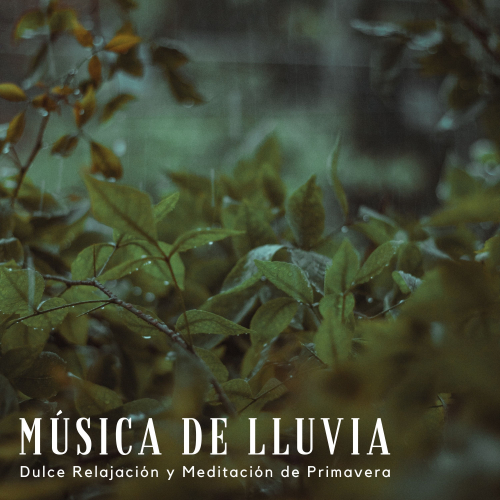 Sonidos De Lluvia、Academia de Música con Sonidos de la Naturaleza、Relajacion - Tormentas De Primavera