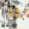 雪鸢、梵苏子、納蘭落雪、枣是小枣的枣 - 未知      