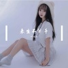 叶凡凡 - 非主流英文dj强劲低音炮