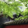王夕阳 - 云水谣