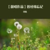 付栋 - (提琴架子鼓版)曾经难忘记