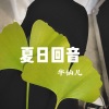 半仙儿 - 夏日回音