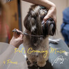 Relaxing Noises、Reading Music Company、Binaural Landscapes - Pooch And Mutt Calm