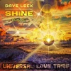 Dave Leck - Shine (Remake)