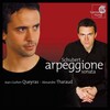 Alexandre Tharaud - Ungeduld, D. 795/7