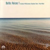 Estonian Philharmonic Chamber Choir、Paul Hillier - Psalms of David: Psalm 104 (Bless the Lord O my soul)(Bless the Lord, O my soul)