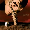 YELLOW黄宣 - Beanstalk