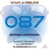 Giorgio Moroder《What a Feeling (Marat Taturas and Levitany《Flashdance Mix)》[MP3/LRC]